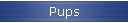 Pups